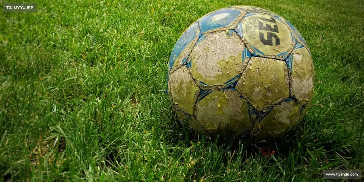 为什么选择我们